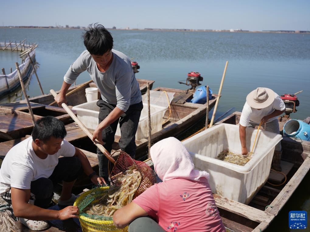 玩法金鲨银鲨